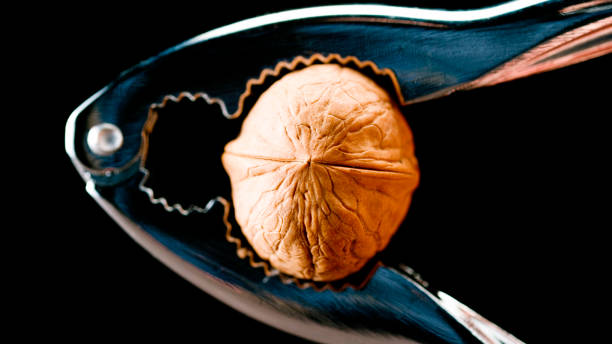 Nutcracker cracking the shell of a walnut Close-Up of nutcracker cracking the shell of a walnut against black background. nutcracker photos stock pictures, royalty-free photos & images