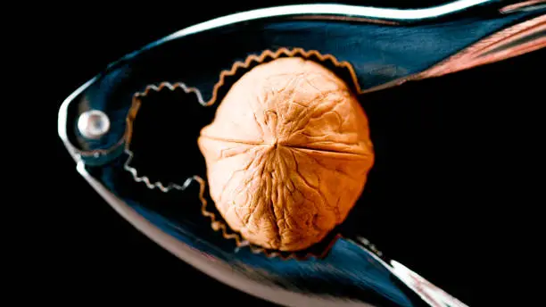 Close-Up of nutcracker cracking the shell of a walnut against black background.