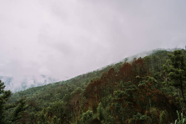 istock Clouds in mountains in Chiang Mai 1328843666