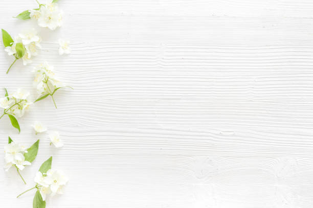 istock Top view of blossom jasmine flowers. Floral pattern flat lay 1328844972