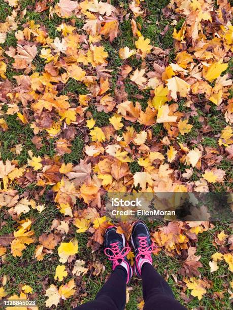 Autumn Run Stock Photo - Download Image Now - Adult, Autumn, Bright