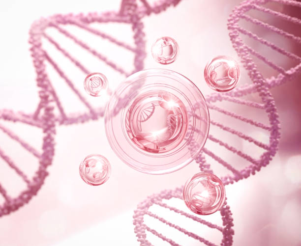 Pink Collagen Serum bubble on Dna Background Pink Collagen Serum bubble on Dna Background, cosmetic advertising 3d rendering. human collagen stock pictures, royalty-free photos & images