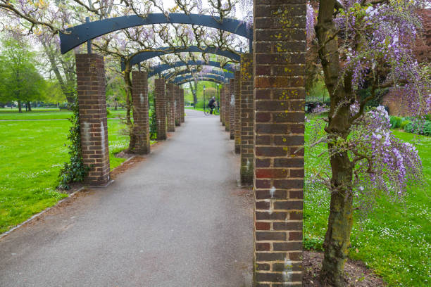 istock An outdoor arcade with blooming flowers 1328849252