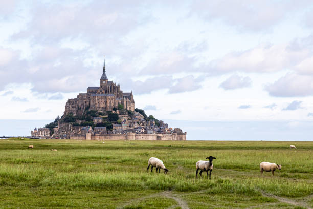 istock Mont Saint-Michel, in Normandy 1328852512