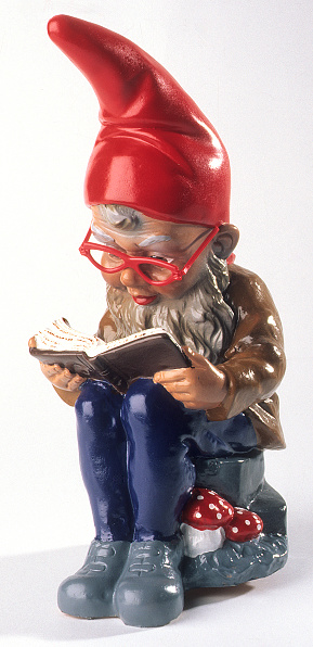 Garden gnome reading