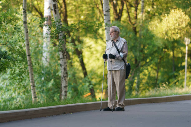 senior has sports activity in the public park in summer day - forest road nature birch tree imagens e fotografias de stock