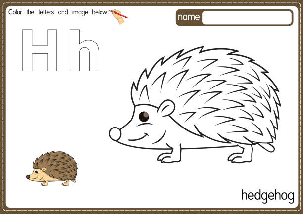 Vector illustration of kids alphabet coloring book page with outlined clip art to color. Letter H for Hedgehog. Vector illustration of educational alphabet coloring page with cartoon for kids. Uppercase and lowercase letter for coloring, tracing, writing, do-a-dot, sticker, cut and paste, kids learning page. hedgehog stock illustrations