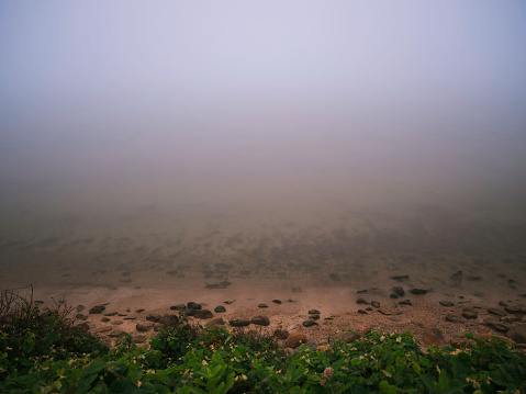 Peaceful beach landscape under the Falmouth Height Hill on a foggy morning over the Martha's Vineyard.