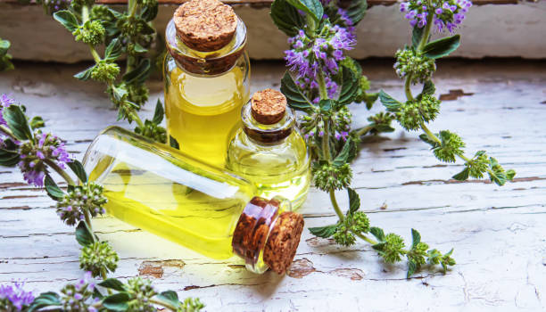 istock Thyme essential oil in a small bottle. selective focus . 1328856869