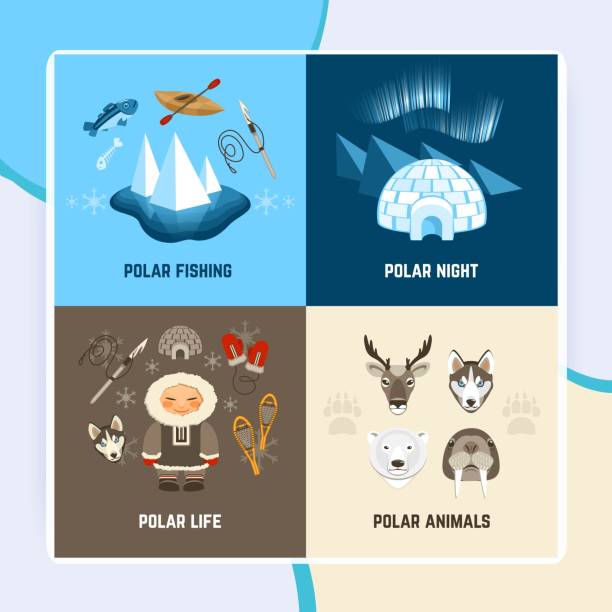 Chukchi design concept set with polar night fishing animals and life flat icons isolated vector Chukchi design concept set with polar night fishing animals and life flat icons isolated vector illustration chukchi stock illustrations