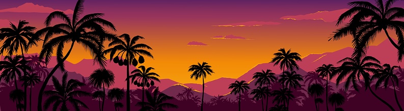 Palm tree silhouette background. California summer sunset landscape with exotic plants on horizon. Tropical forest and mountains. Scenic night sky view. Nature panorama. Vector hot coast wallpaper