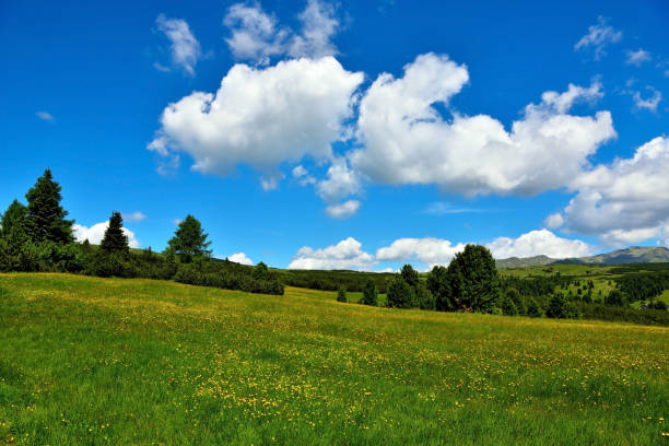 istock Villandro South tyrol italy 1328869393