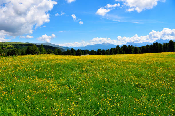 istock Villandro South tyrol italy 1328869396