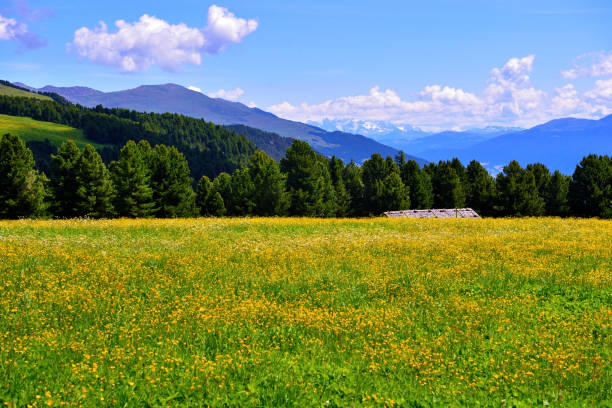 istock Villandro South tyrol italy 1328869410