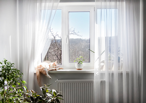 Curtains and windows of the empty dance room