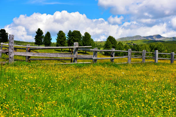 istock Villandro South tyrol italy 1328869477
