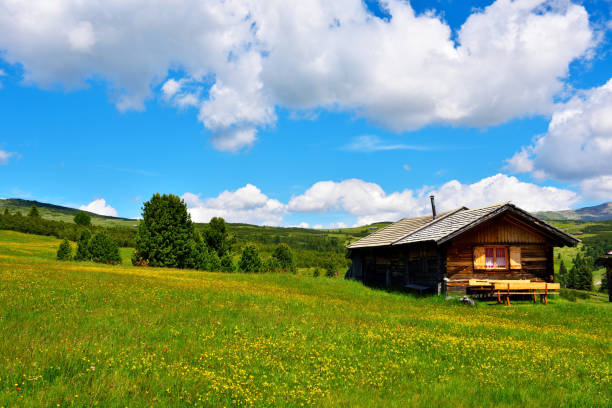 Mountain chalet in Austria: Idyllic landscape in the Alps with a meadow of flowers in the Alps