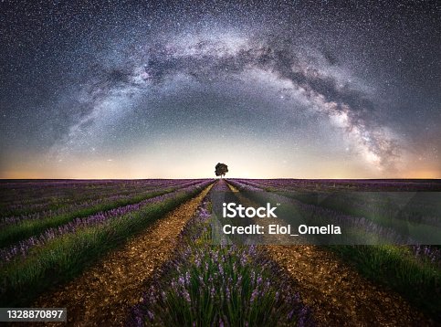 istock Arch of the milky way in a lavender field 1328870897