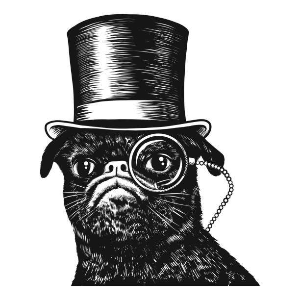 ilustraciones, imágenes clip art, dibujos animados e iconos de stock de perro pug en sombrero de copa y monóculo, ilustración vectorial en blanco y negro, arte de boceto - monocle