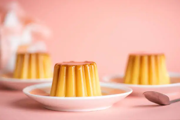 Homemade pudding soft vanilla dessert in cup mold shape on a plate