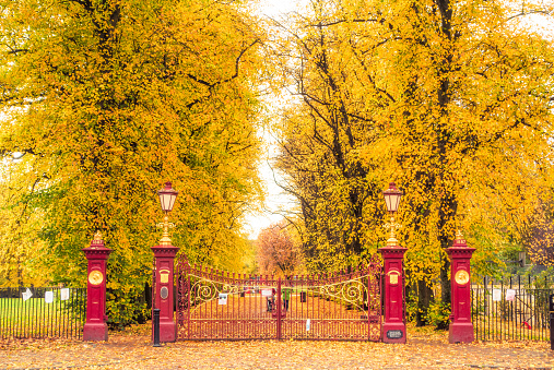 Old fashioned wrought iron gates at the main entrance, leading to a long avenue of trees in Victoria Park, a public park in the West End of Glasgow in Scotland.