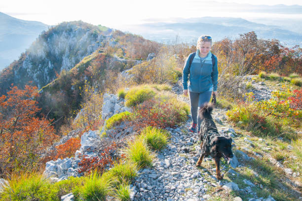 Senior Woman Walking a Black Dog in Autumnal Nature Senior woman walking a black mixed-breed dog in autumn on the hill Sabotin divided by the border into Slovenian and Italian part, Europe. dog disruptagingcollection stock pictures, royalty-free photos & images