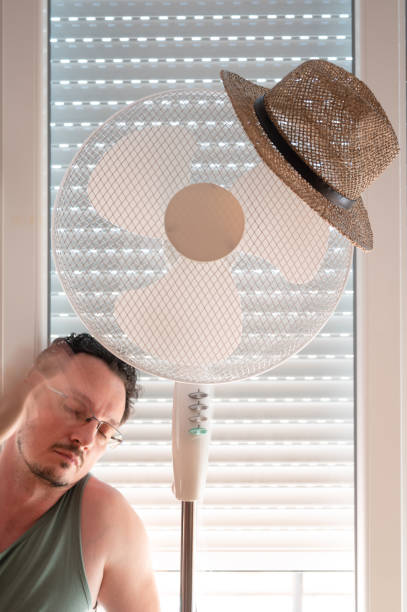 Residential ceiling fan in motion on a white ceiling.