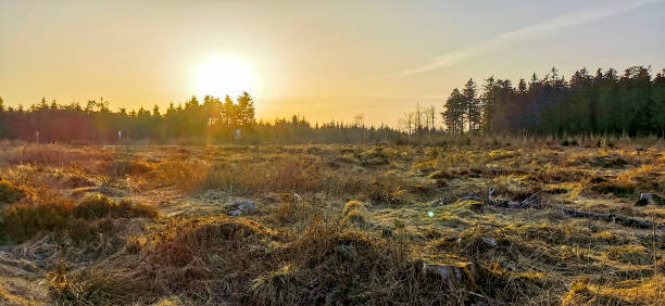 istock A sunset in the Ardennes 1328878124