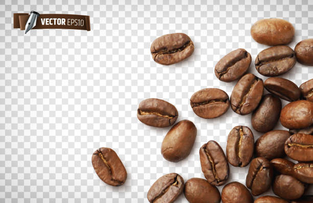 stockillustraties, clipart, cartoons en iconen met vector realistic coffee beans - cafe