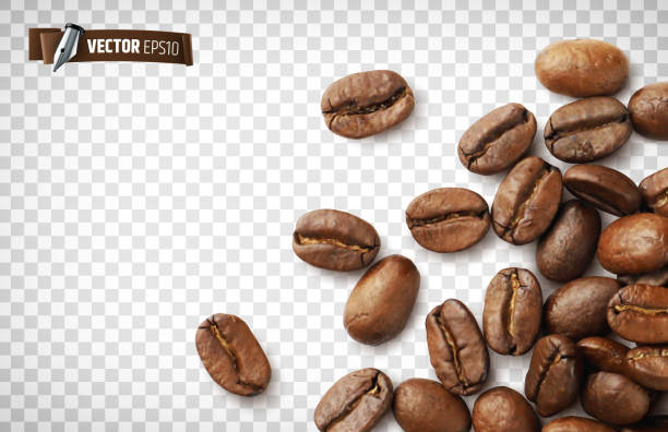 Vector realistic coffee beans Vector realistic illustration of coffee beans on a transparent background. coffee stock illustrations