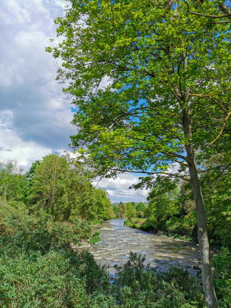 River Vesdre in Chaudfontaine, Belgium