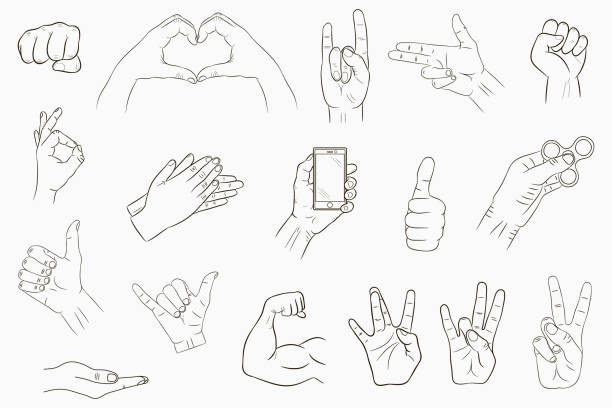 stockillustraties, clipart, cartoons en iconen met hand gestures set. collection of hand-drawn signs. vector - handspinner