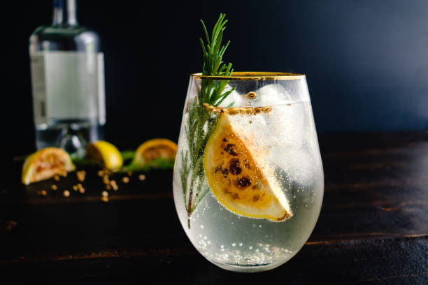Charred Lemon, Rosemary and Coriander Gin and Tonics Gin and tonic cocktails garnished with charred lemon wedges and aromatics gin stock pictures, royalty-free photos & images