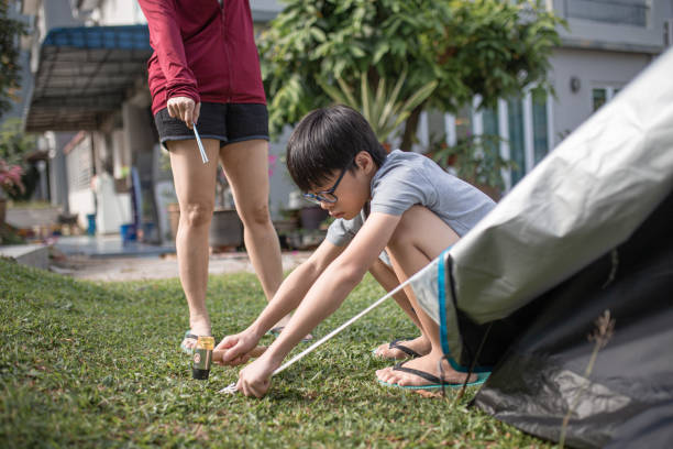 Asian Chinese teenager setting up camping tent together with family at backyard Asian Chinese teenager setting up camping tent together with family at backyard hit the nail on the head stock pictures, royalty-free photos & images