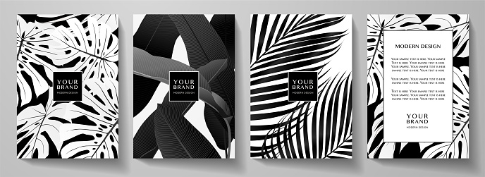 Exotic black and white cover design set. Floral background with tropical pattern of leaf (palm, banana tree)