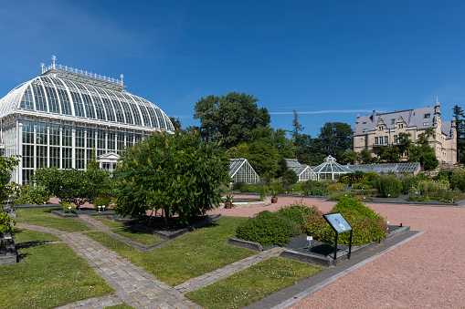 Helsinki, Finland - July 5, 2021: Kaisaniemi Botanic Garden, Helsinki, Finland