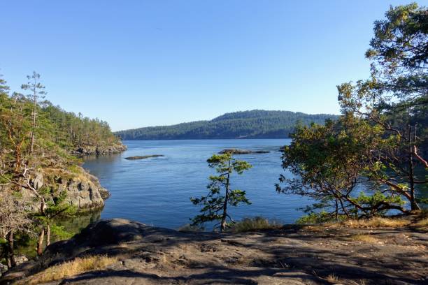 istock A view of a beautiful empty bay surrounded by trees and calm ocean with the trees reflected on the water, along the sunshine coast, British Columbia, Canada 1328888947