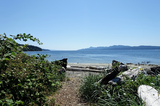 A path or trail leading towards a beautiful beach with the glistening blue ocean in the background on a beautiful sunny day outside Powell River, British Columbia, Canada.
