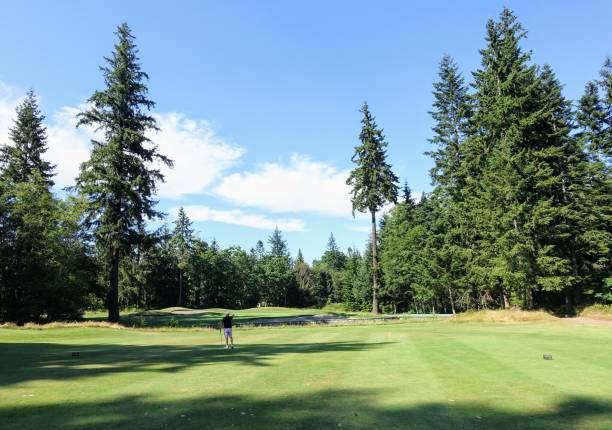 istock A man playing golf standing on a beautiful green fairway 1328889538