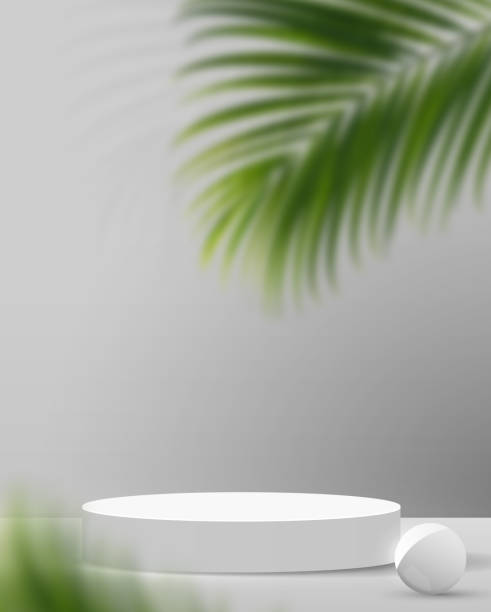 istock Cosmetic light gray background minimal and premium podium display for product presentation branding and packaging presentation. studio stage with shadow of leaf background. 3D illustration design 1328890674