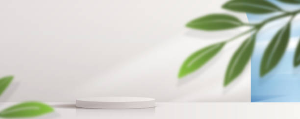 istock Cosmetic light gray background minimal and premium podium display for product presentation branding and packaging presentation. studio stage with shadow of leaf background. 3D illustration design 1328890687