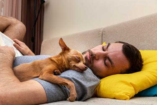 Hombre adulto y lindo perro pequeño marrón durmiendo juntos en el sofá de casa. El perro siendo abrazado por el dueño. amor y cuidado de mascotas. Consuelo, amistad, compañerismo. photo