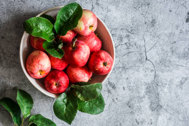 istock Fresh organic ripe apples in a bowl on a stone grey background, top view with copy space 1328898397