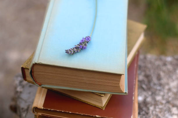 istock Vintage Books and Lavender Flower 1328901334