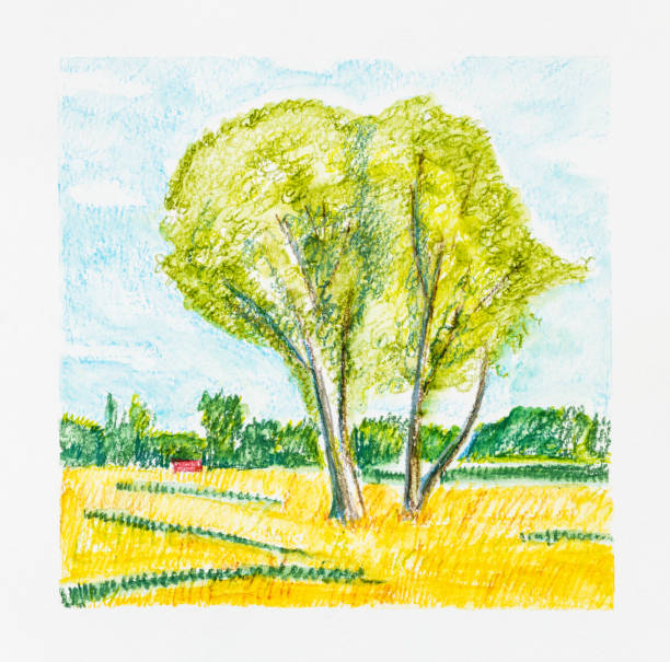 istock sketch of summer landscape with trees by pencil 1328906727