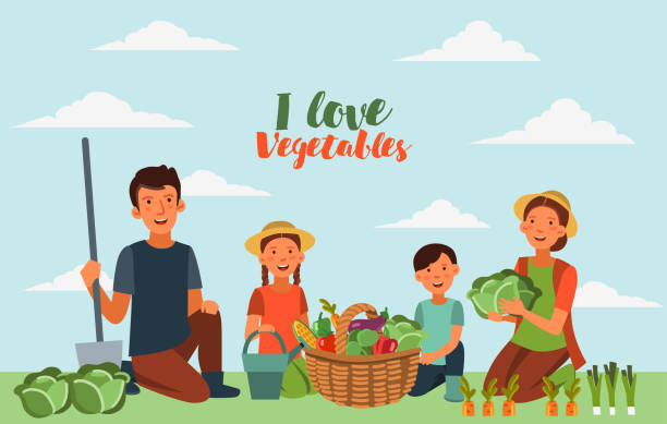 Happy family in garden with a basket full of fresh vegetables: cabbage, pepper, tomato, carrot, corn, broccoli and eggplant in cartoon style Happy family in garden with a basket full of fresh vegetables: cabbage, pepper, tomato, carrot, corn, broccoli and eggplant in cartoon style farmer son stock illustrations