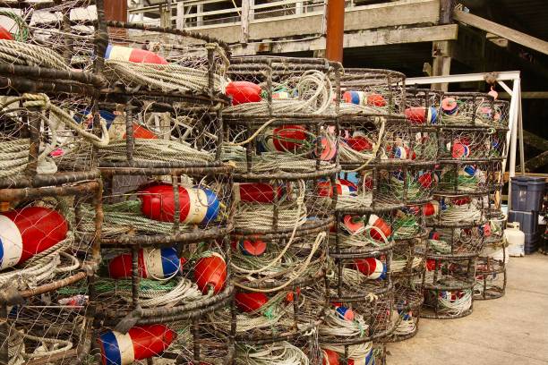 istock Stacks Of Crab Traps 1328908517