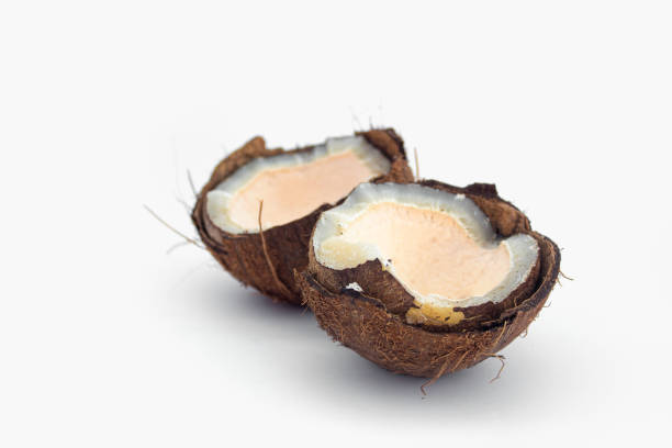 istock rotten coconut close up on white background 1328910201