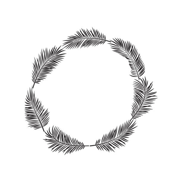 Palm leaves vector border, wreath exotic branch plant round frame, black silhouettes coconut and banana jungle. Tropical hand drawn illustration Palm leaves vector border, wreath exotic branch plant round frame isolated on white background, black silhouettes coconut and banana jungle. Tropical hand drawn illustration coconut borders stock illustrations