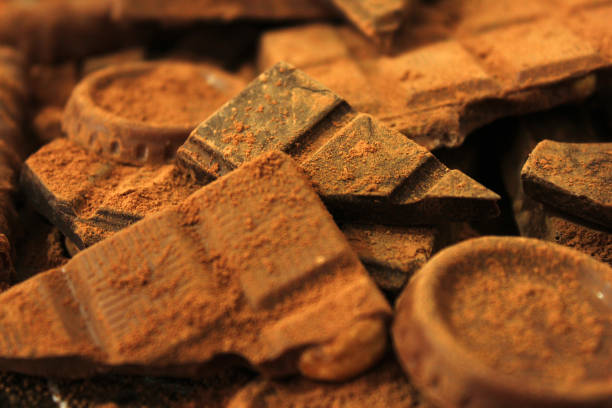istock Assorted chocolate pieces with cocoa powder 1328913670